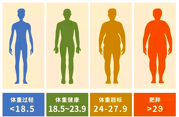 人體健康指標(biāo)有哪些？輕松讀懂自己的身體信號